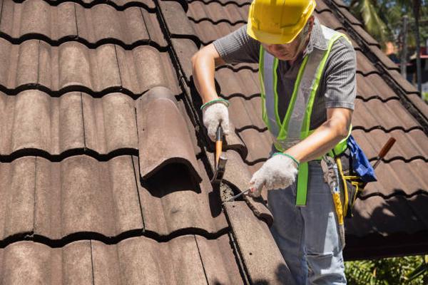 Your Go-To Roofing Experts Complete Property Renovations